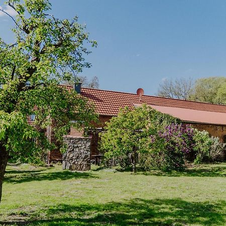 Landhaus Goldene Gans Gross Pankow  Extérieur photo