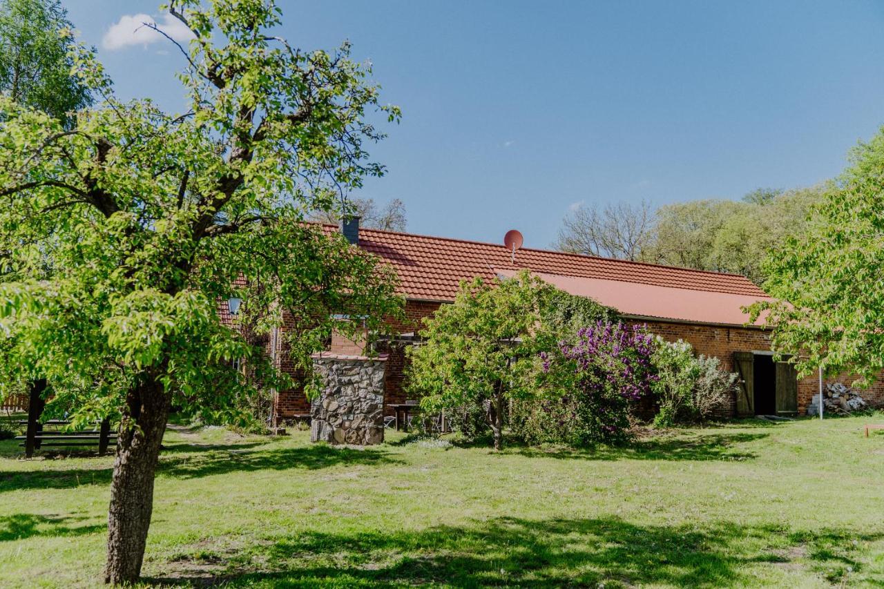 Landhaus Goldene Gans Gross Pankow  Extérieur photo